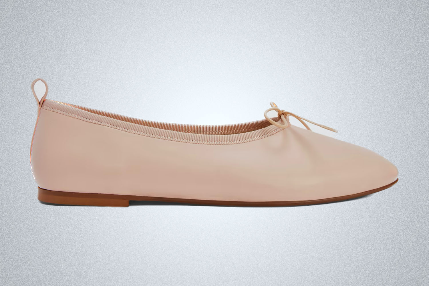 Everlane The Day Ballet Flat