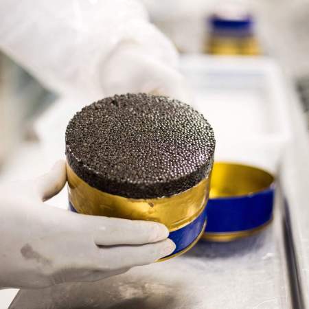 A worker from the company Rova Caviar Madagascar packs in a metal box the caviar extracted from a sturgeon