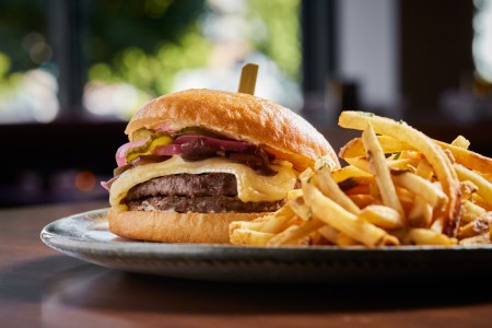 Burger and fries on a plate