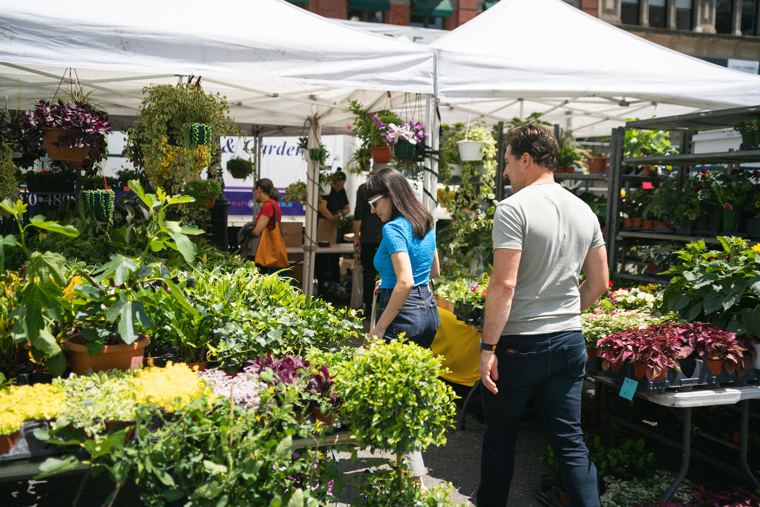 two people looking at the plants at the union square greenmarket