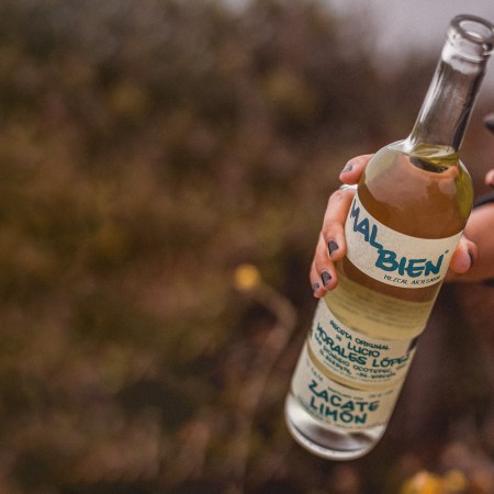 Mezcal Mal Bien
