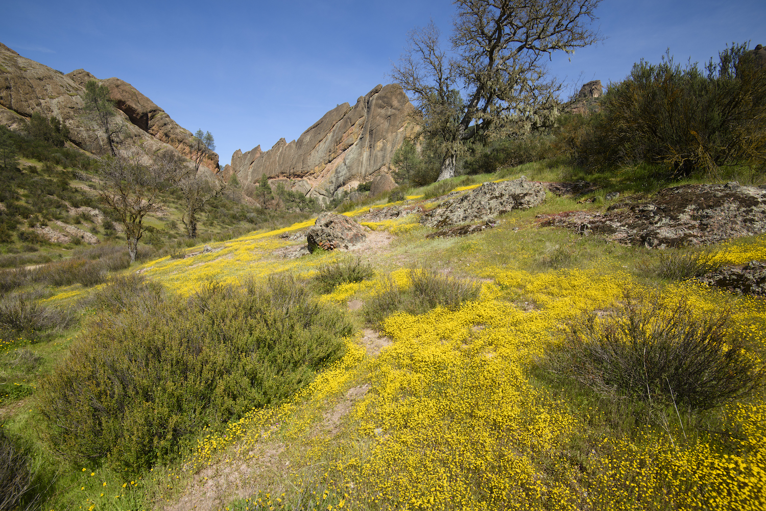 california national park road trip