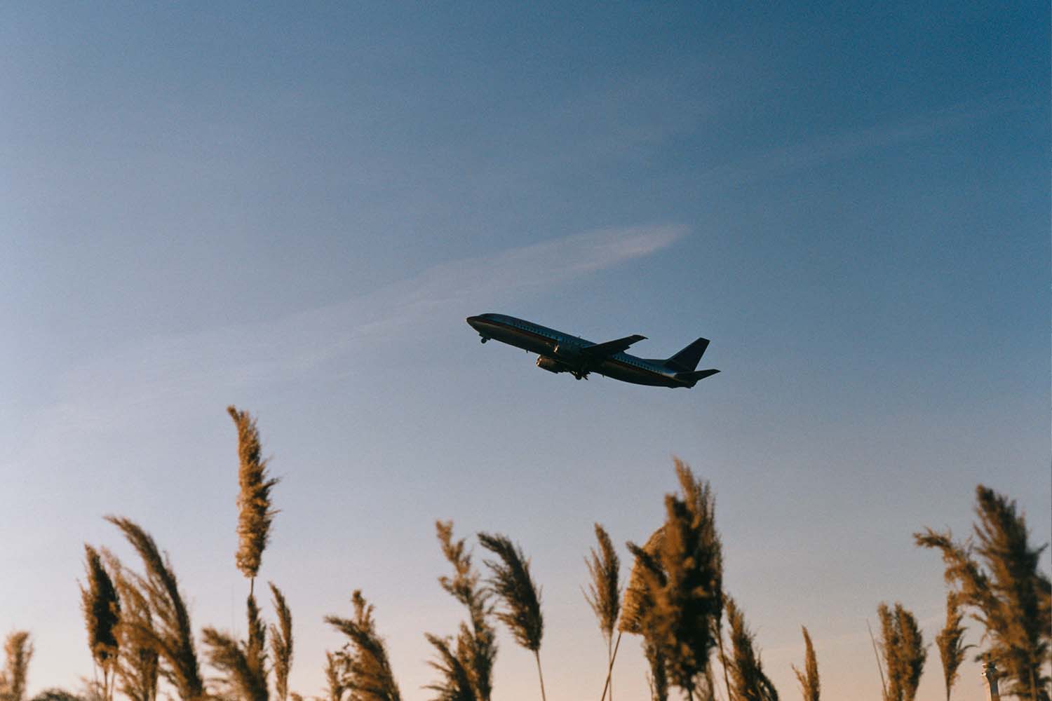Plane taking off