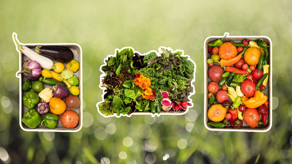 Produce Box Hero