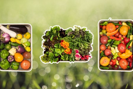 Produce Box Hero