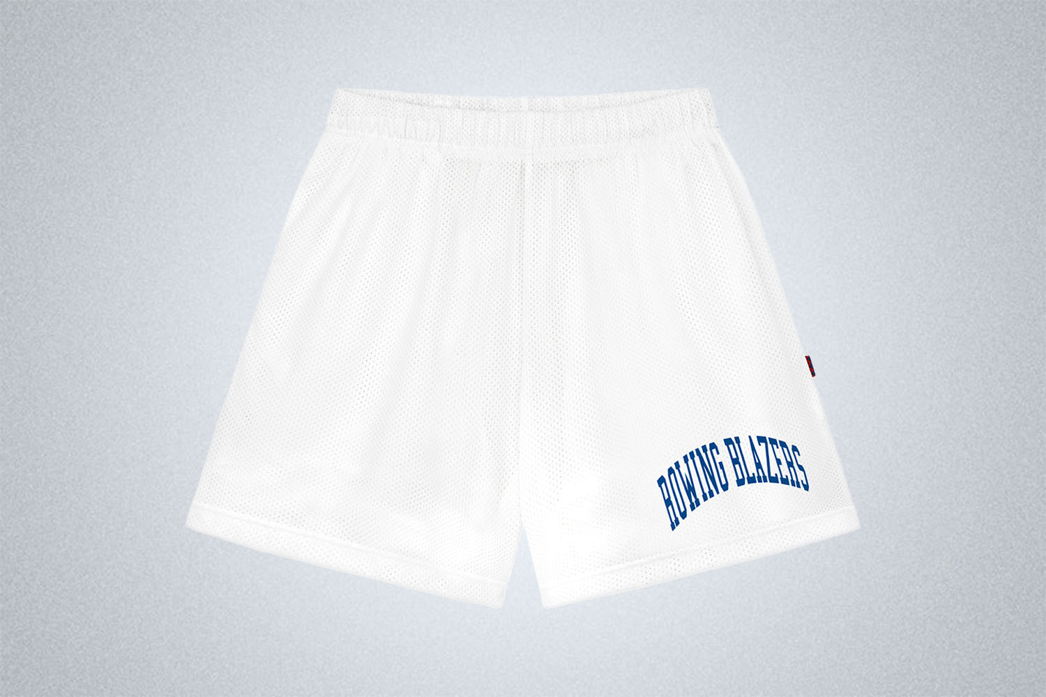 Rowing Blazers Mesh Gym Shorts