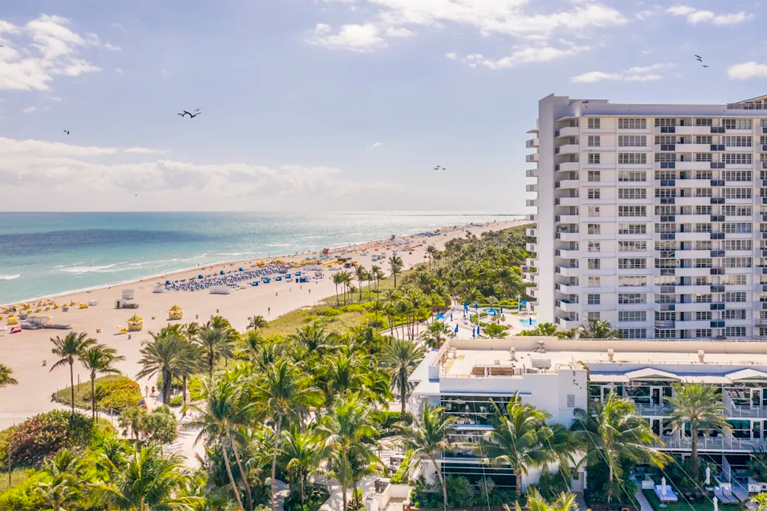 Hotel facing the beach with pools and palm trees inbetween