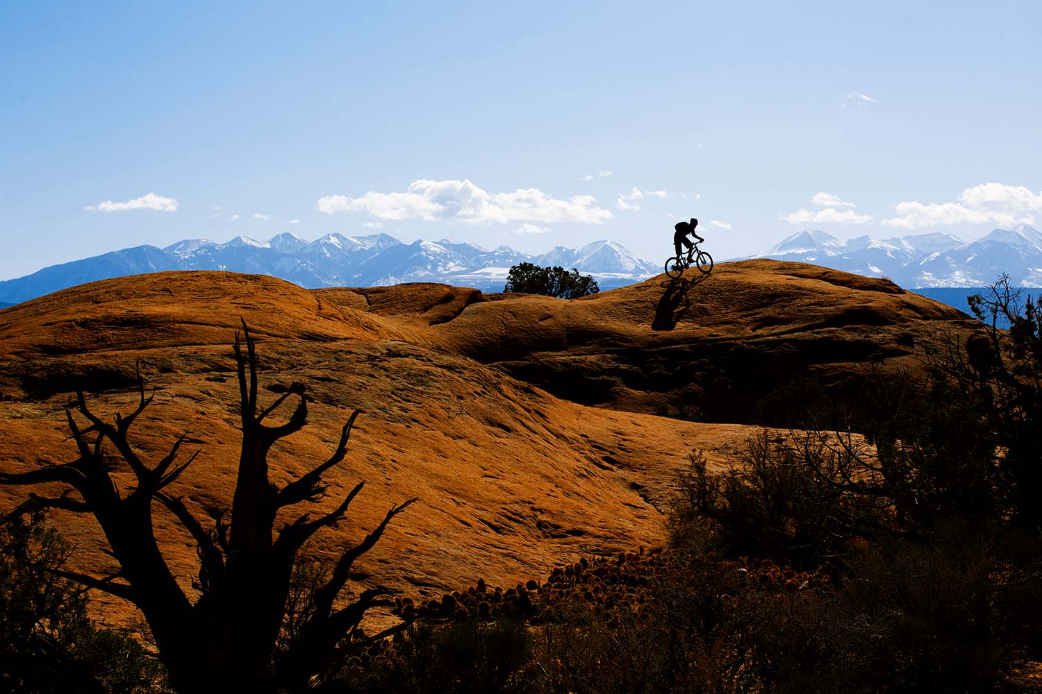 A mountain biker riding the Slickrock Trail