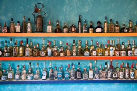 near Puerto Vallarta, Jalisco, Mexico --- Wall of different tequila bottles at Mister Tequila tasting gallery