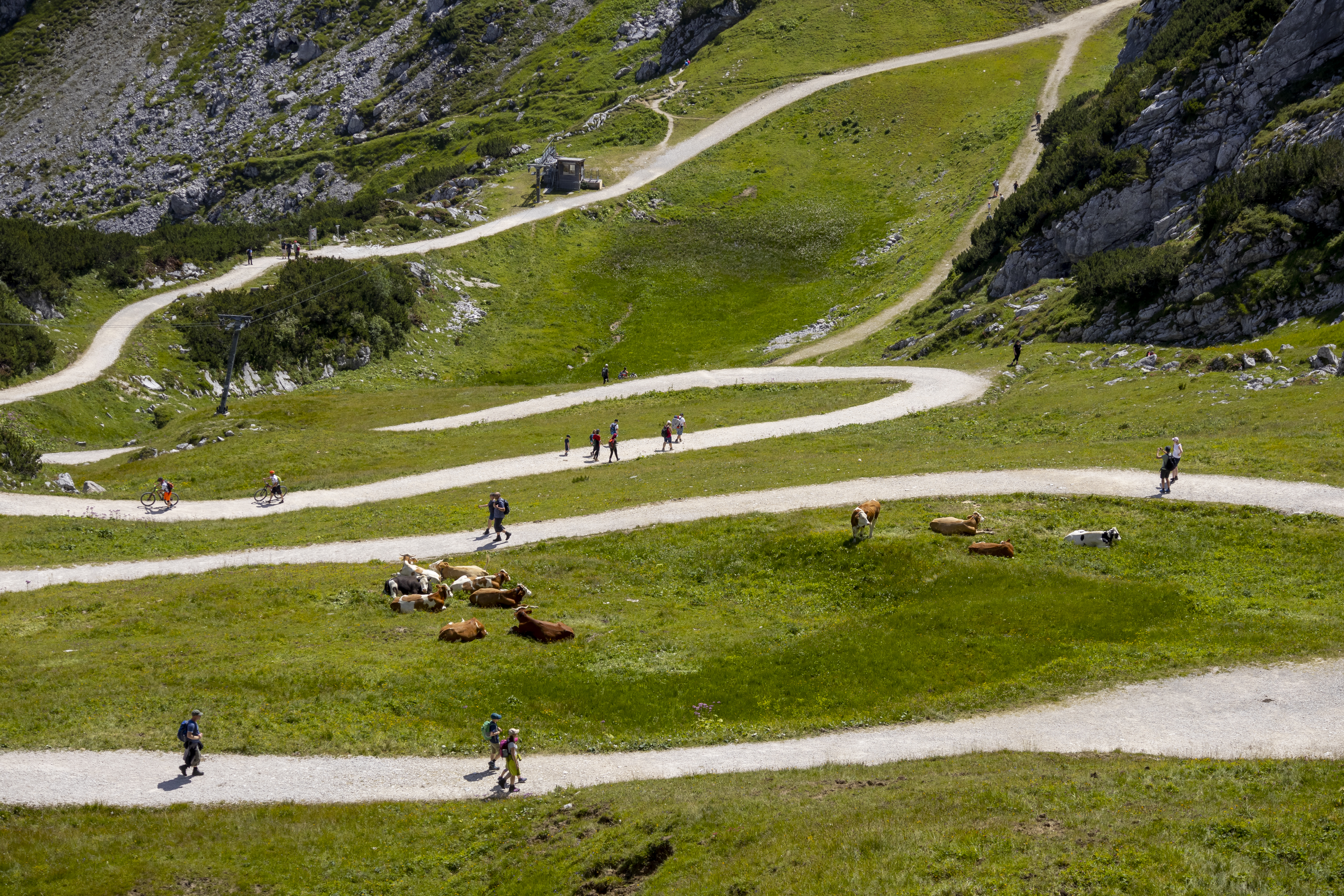 A bunch of people walking down a trail in a German valley.