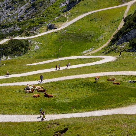 A bunch of people walking down a trail in a German valley.