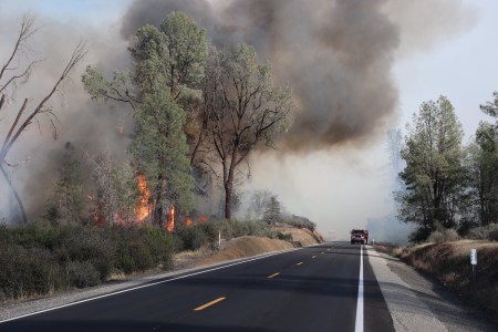 Trees on fire with fire truck driving up to it