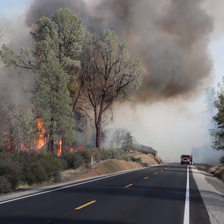 Trees on fire with fire truck driving up to it
