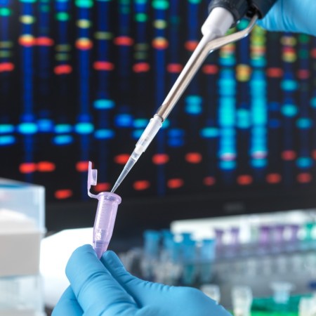DNA testing