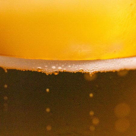 Light lager