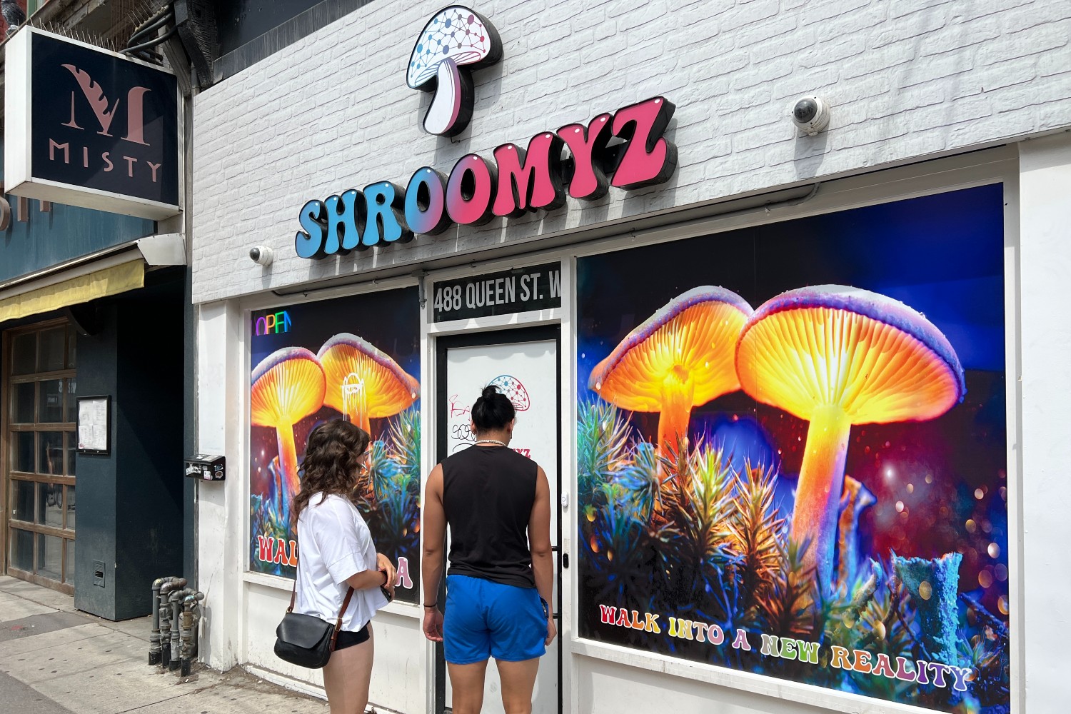 Magic mushroom store