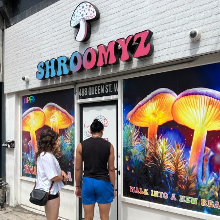 Magic mushroom store