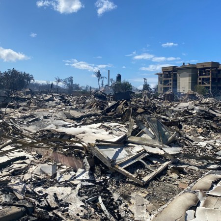 Wildfire aftermath in Maui
