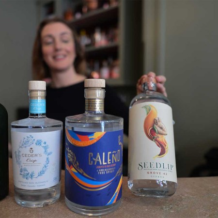 A selection of a non alcolic spirits, seen inside The Virgin Mary bar, the first alcohol-free bar to open in Dublin, that will provide with a selection of different cocktails, wines, beers and spirits, all with zero alcohol content.