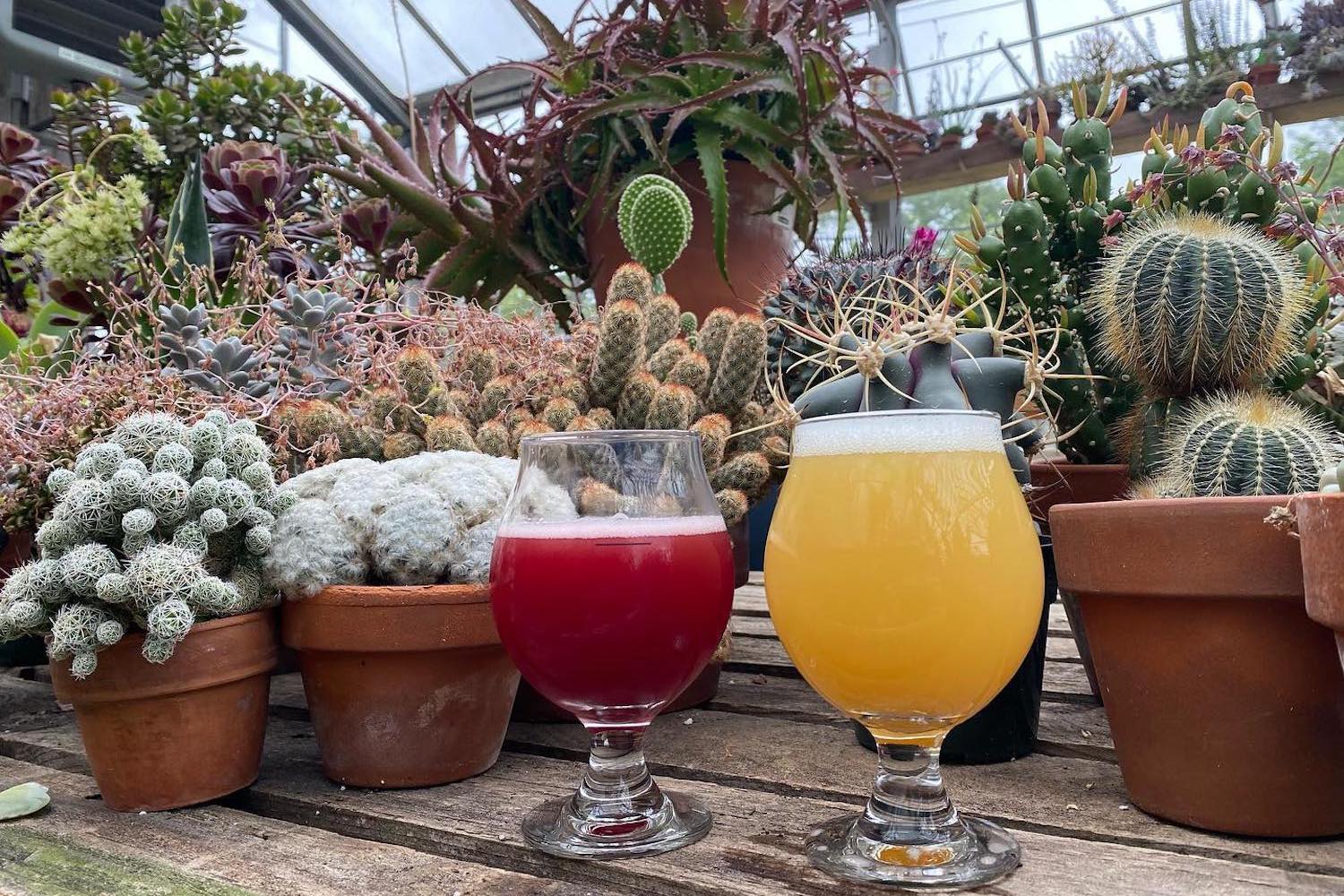 ragged island brewing co greenhouse