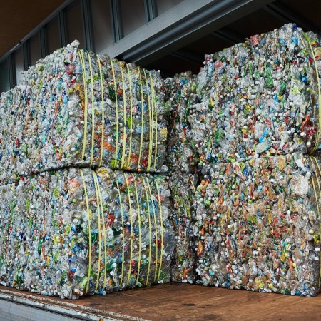Recycled plastic bottles