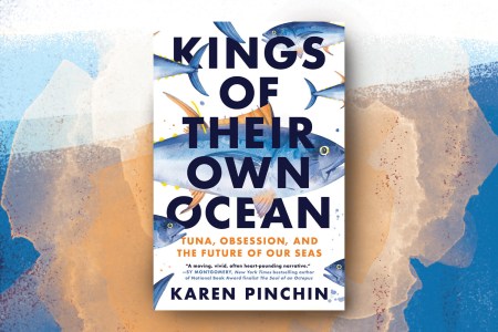 A New Book Gets Up Close and Personal With Bluefin Tuna