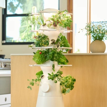 Lettuce Grow Stand in a well lit kitchen