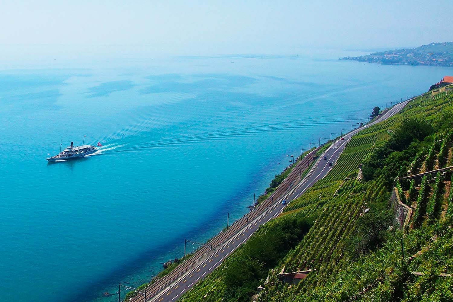 Take a cruise with CGN 