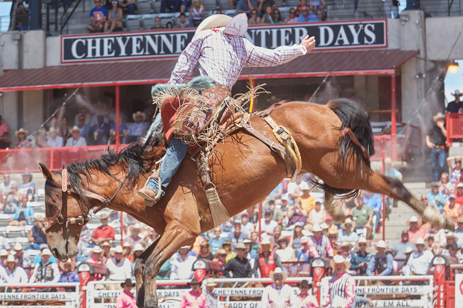Cheyenne Frontier Days