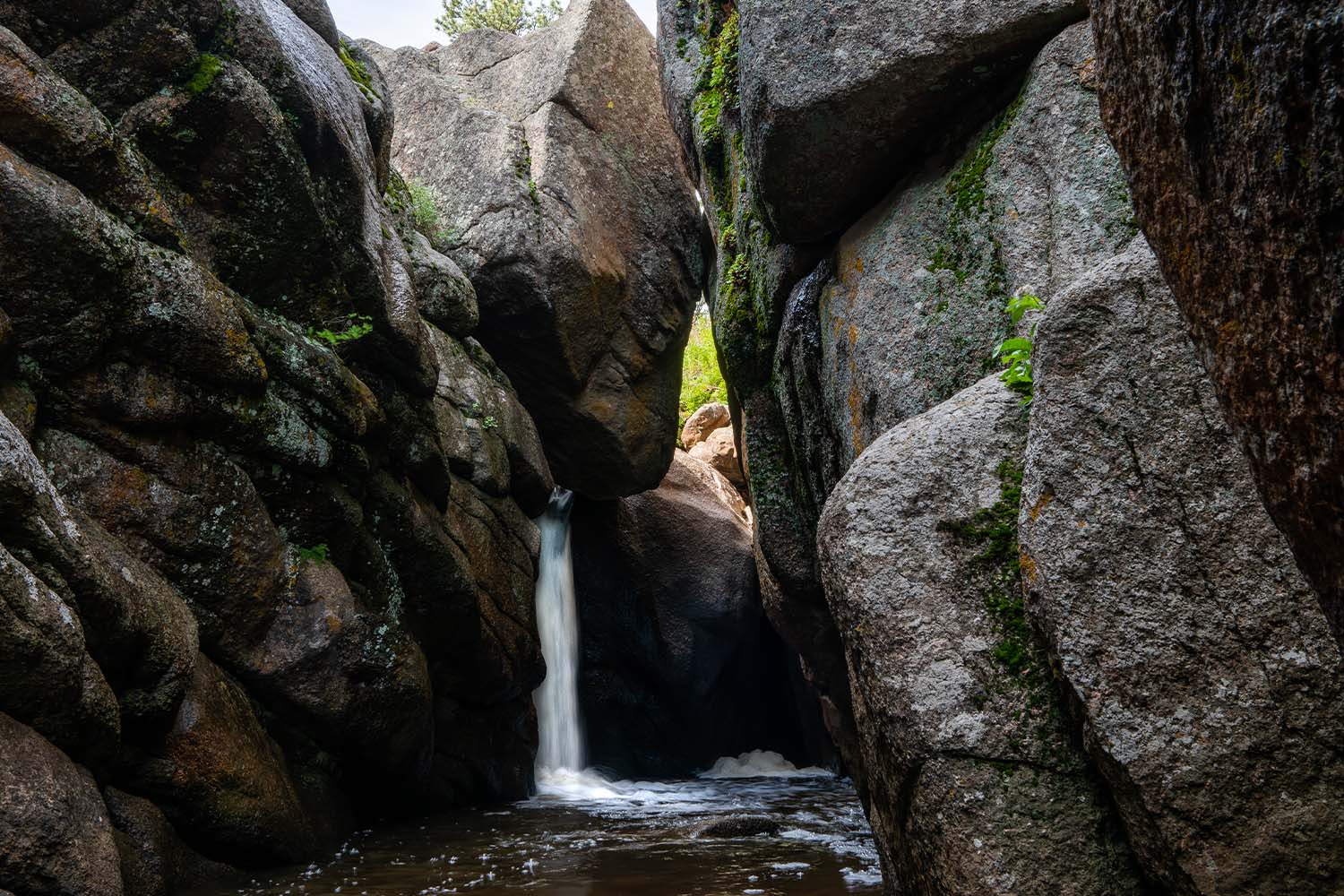 Curt Gowdy National Park