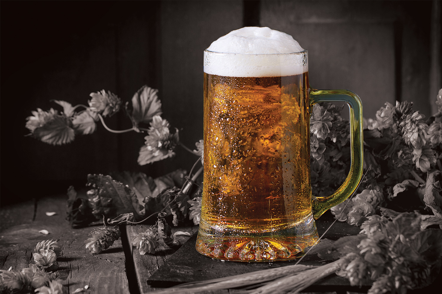 Fresh hop beer