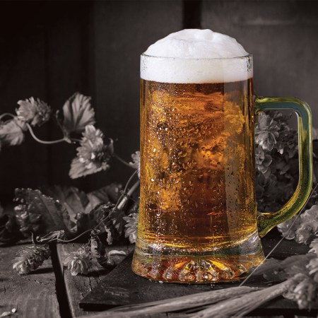 Fresh hop beer