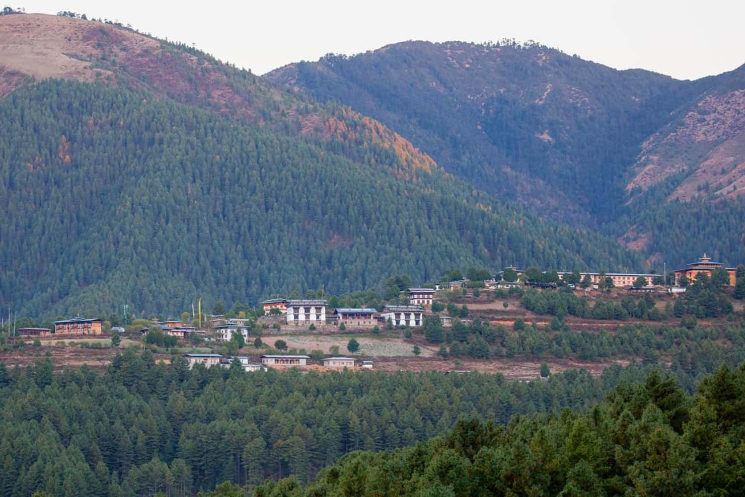 Gangtey Lodge