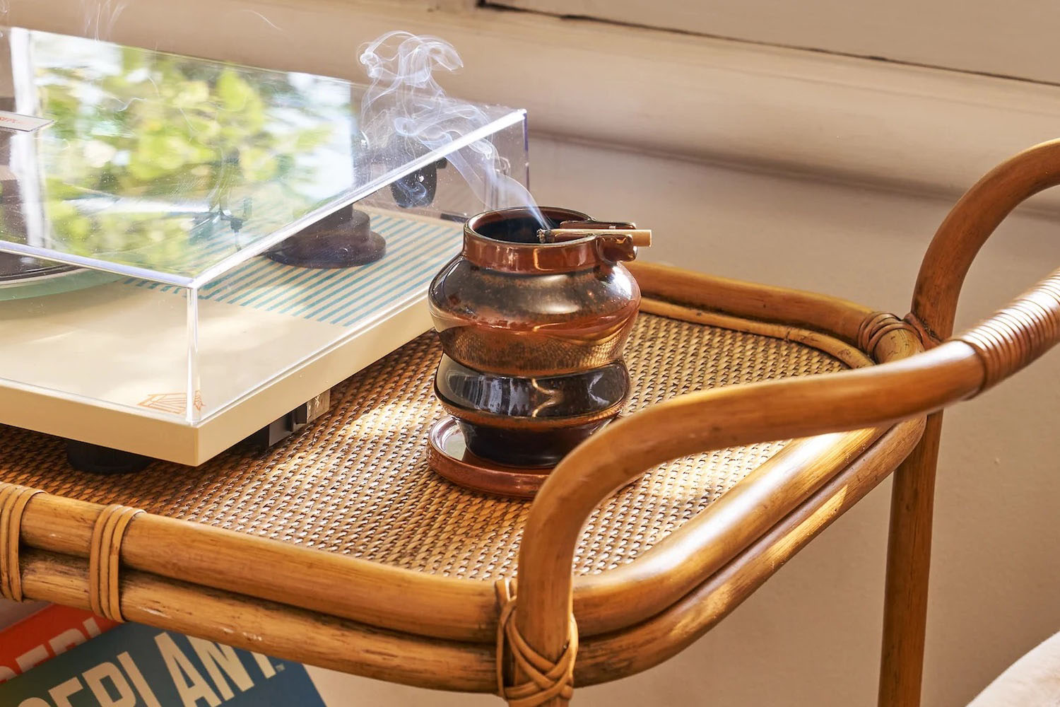 Houseplant Ashtray 3.0 by Seth