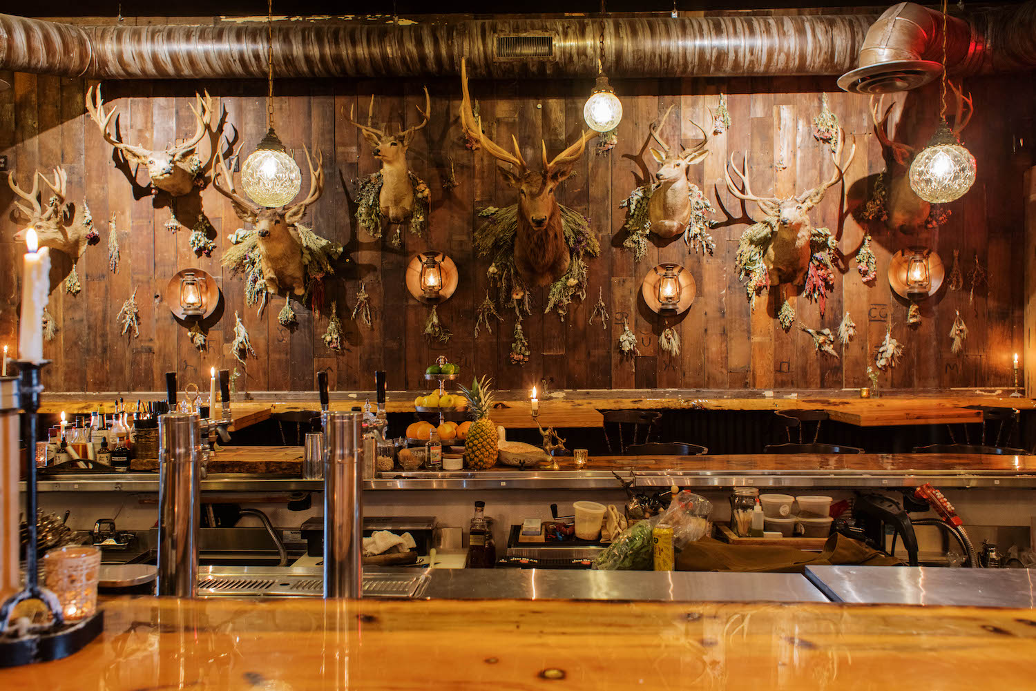 Buck heads handing on the wall of a bar
