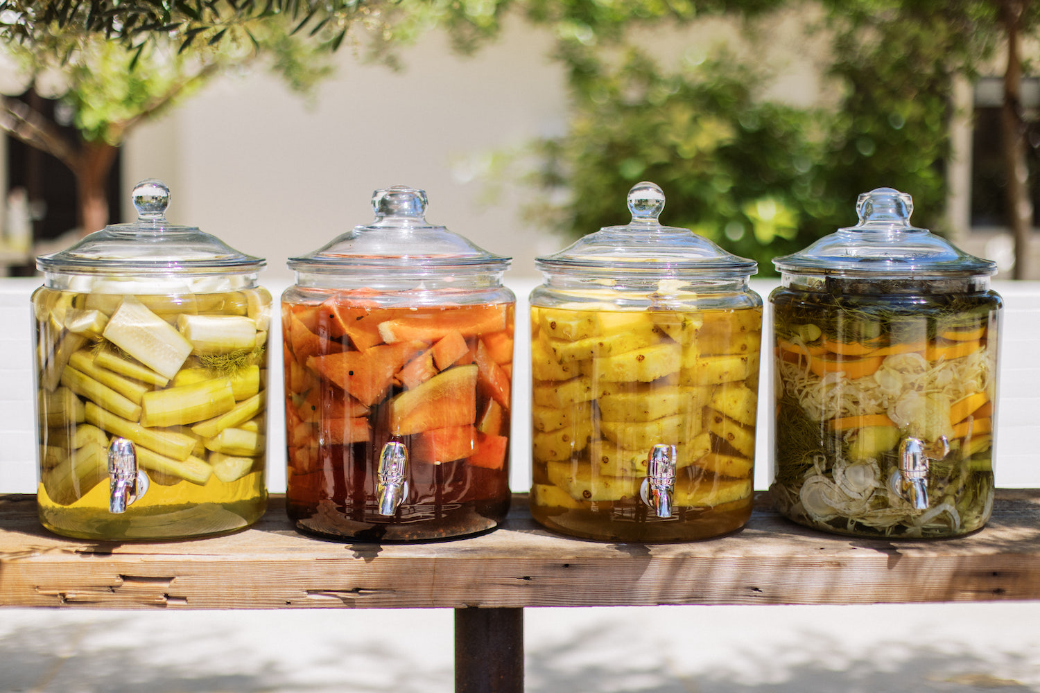 Jars of macerations outside on a table