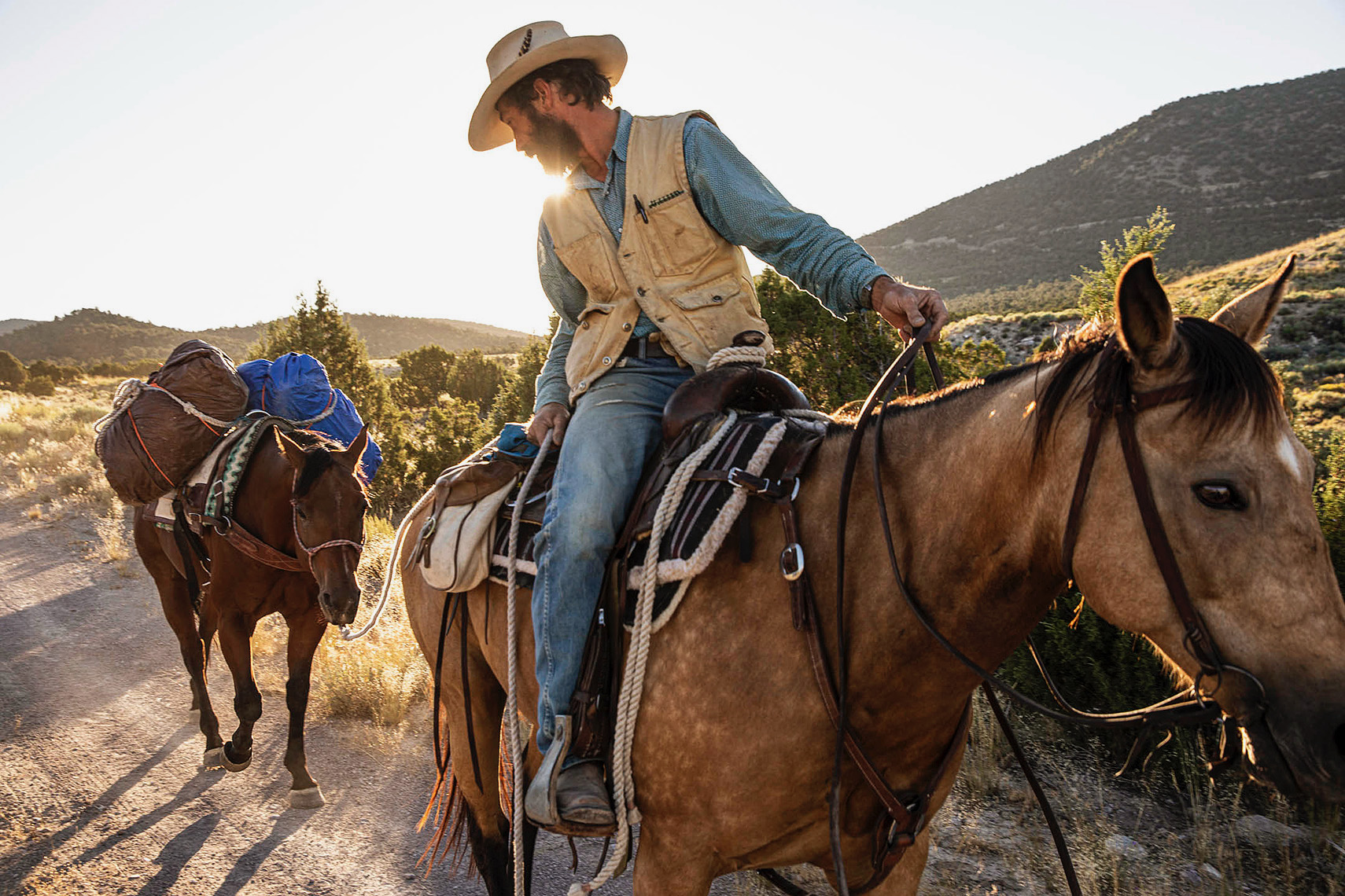 Selecting the right horses was critical for the Pony Express