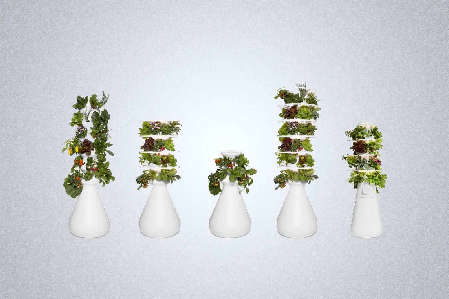Lettuce Grow The Farmstand