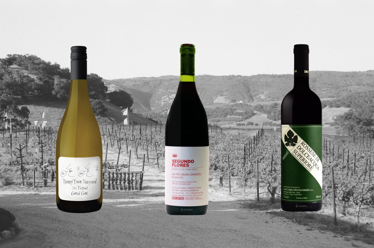 If you're not drinking Piquepool, Pais or Rossese, you're missing out