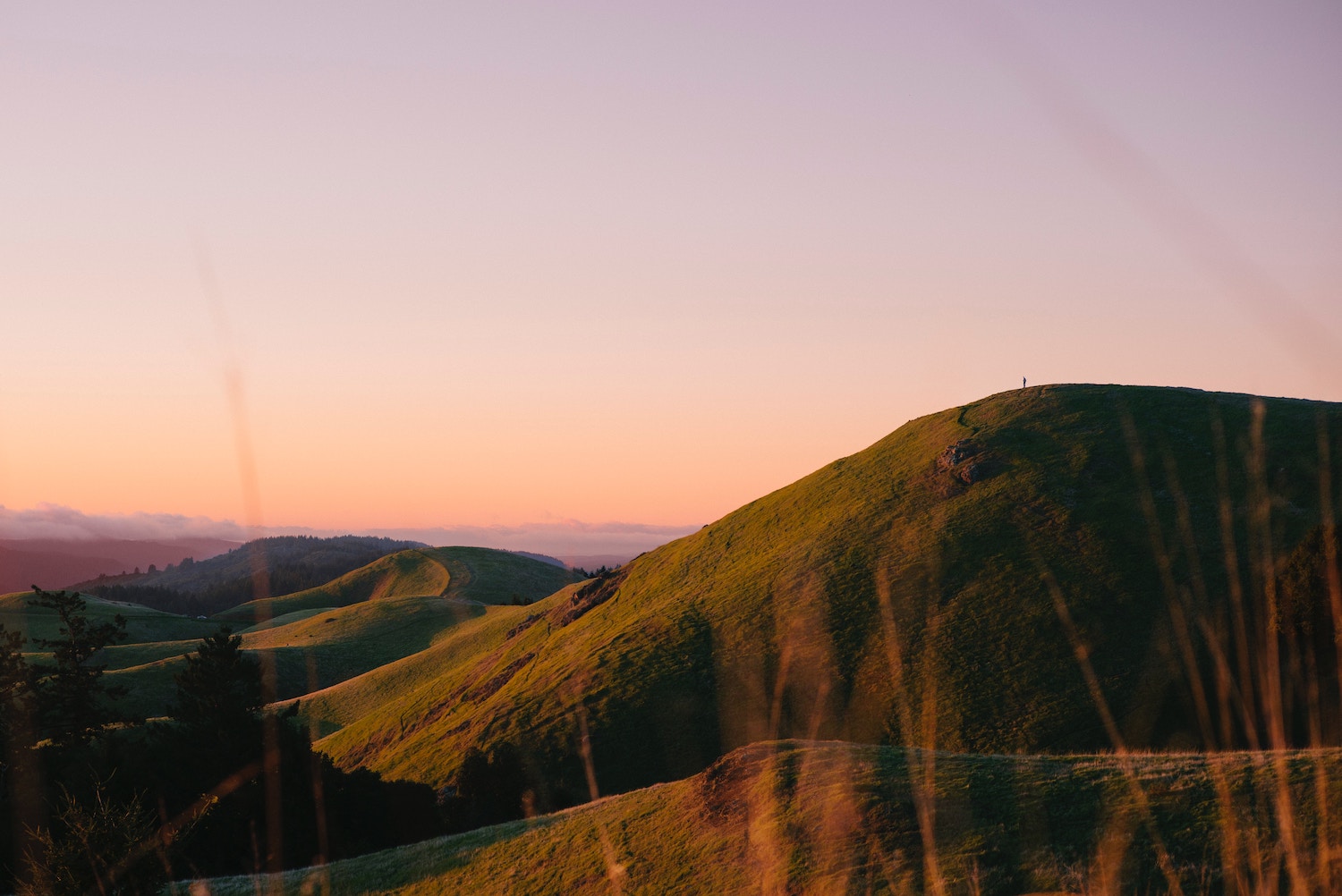 Mount Tamalpais State Park