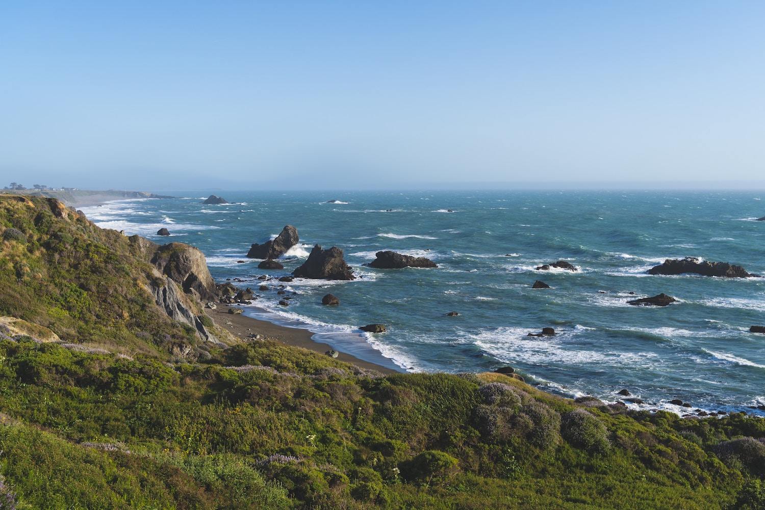 Sonoma Coast State Park