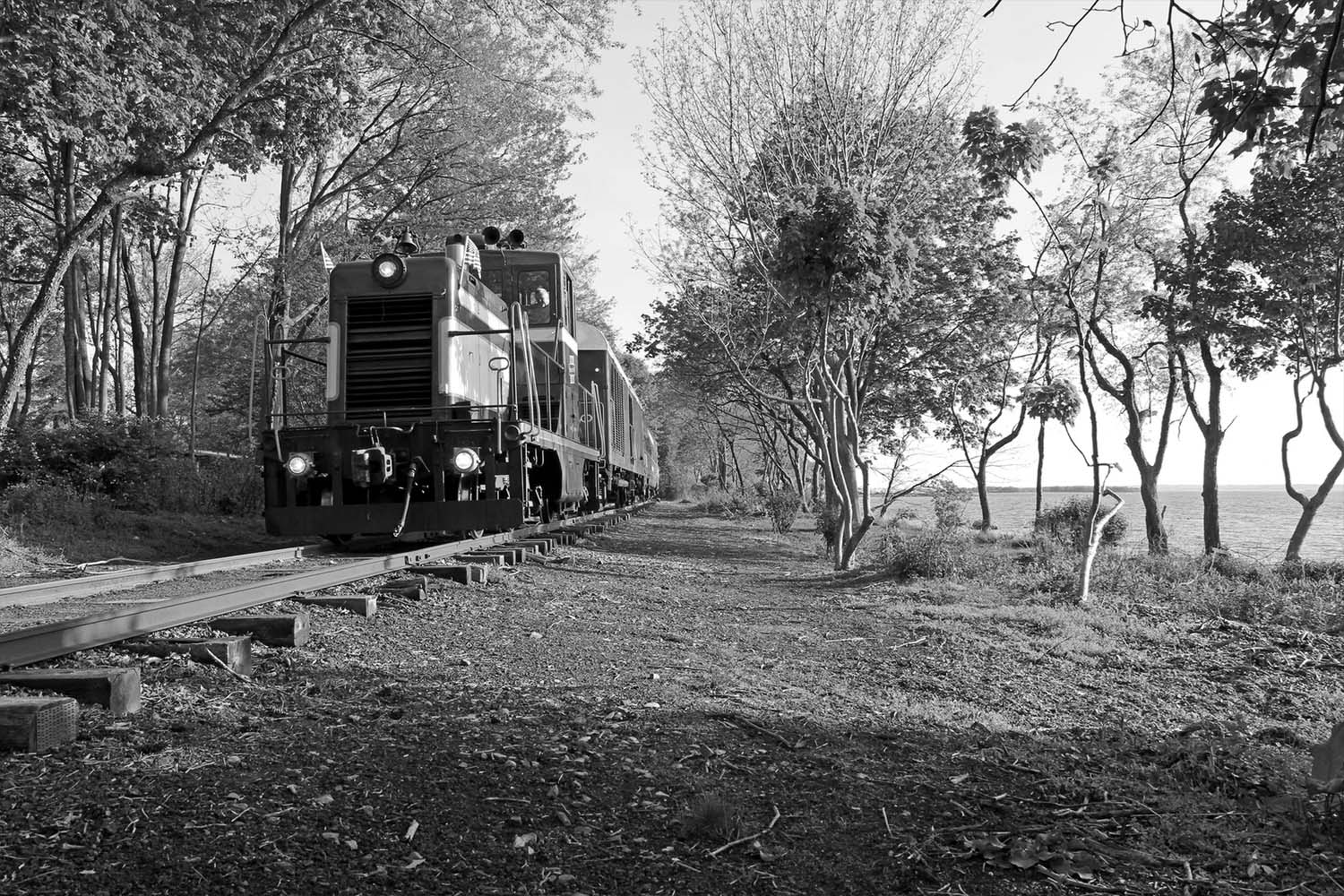 Bellevue Express