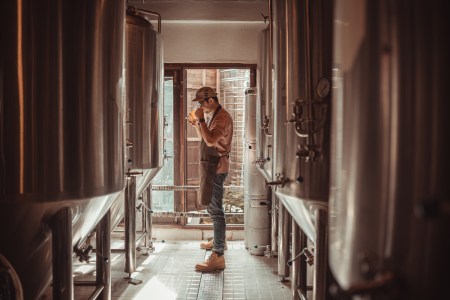 Rapidly Declining Beer Sales Have Put the Industry in a “Five Alarm Fire”