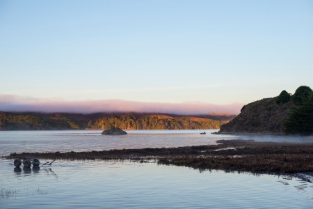 Humboldt Bay