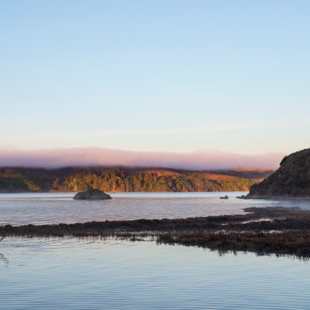 A Weekend in Eureka Means Happy-Hour Oysters and Coastal Redwoods