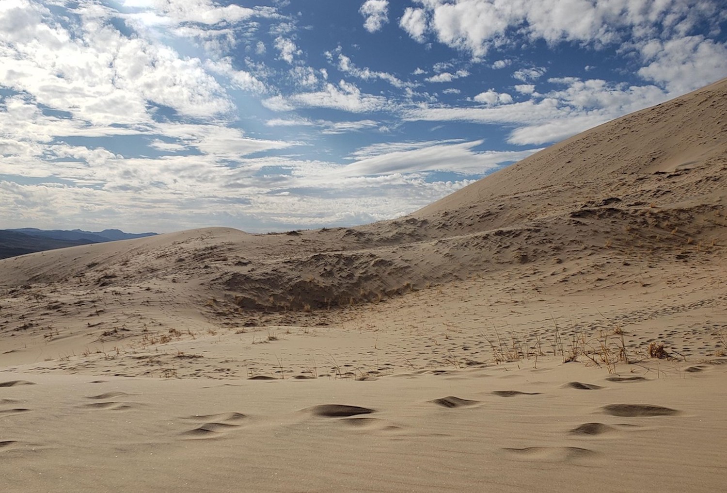 Desert area in bright cloudy day