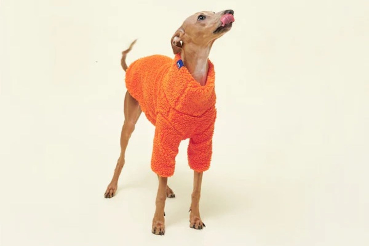 Little Beast Fleece Sweatshirt