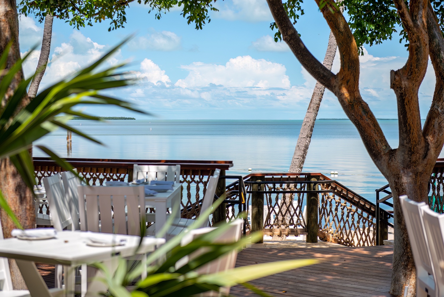 Deck with tables, palm trees and chairs overlooking the beach