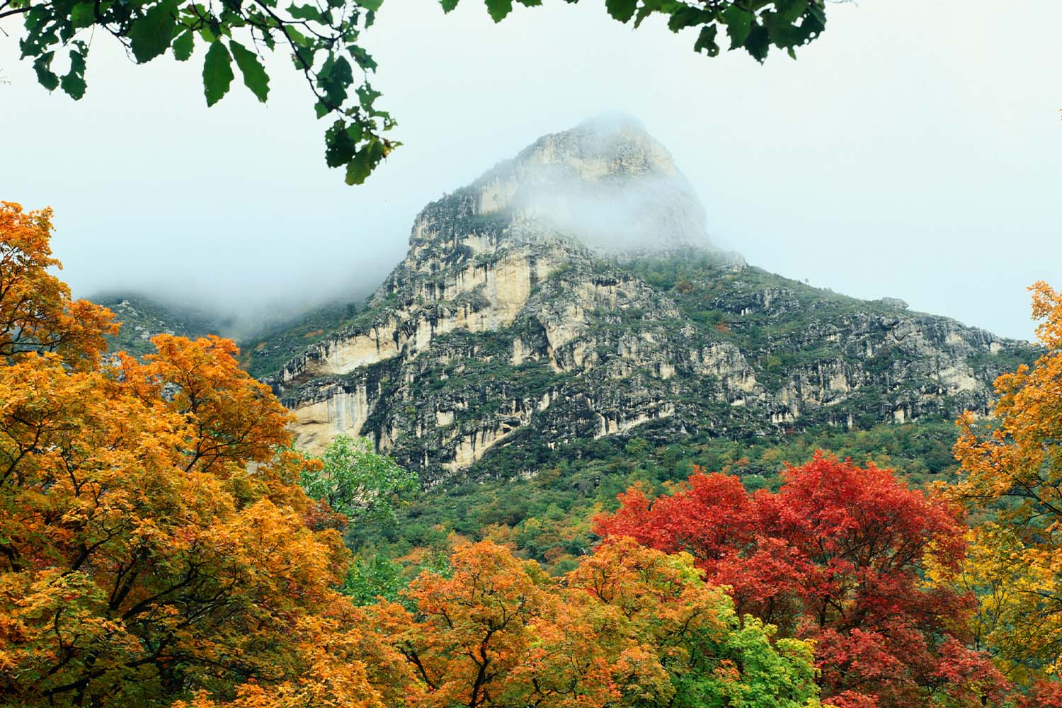 McKittrick Canyon