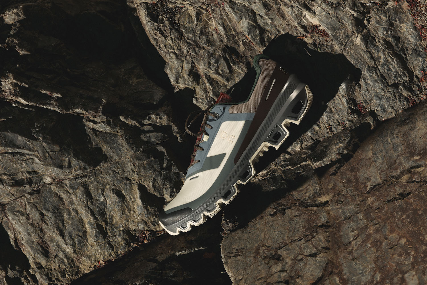 Packer x On Cloudventure Waterproof